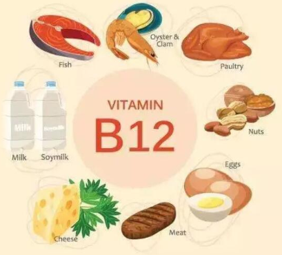 人体维生素检测仪分析维生素B12